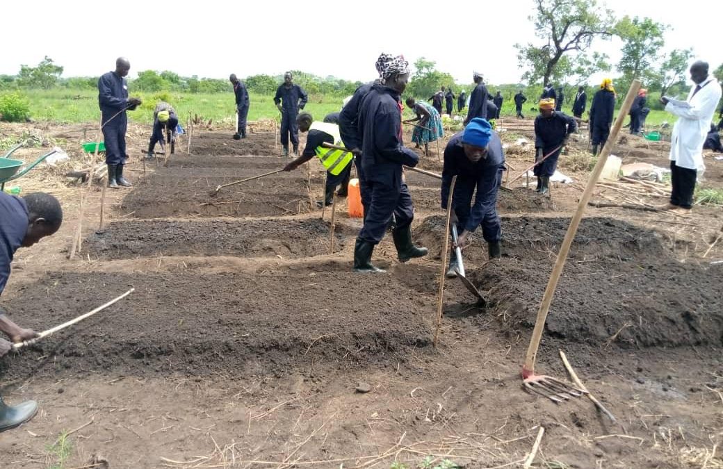 Assessing youth on the recent horticulture training by DIT